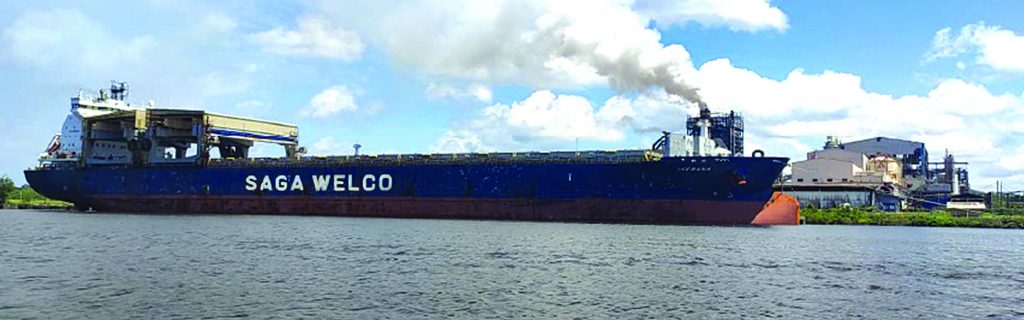 NAVEGAÇÃO EM FOCO – Autorizado navio de até 201,80 metros no Porto da Jari Celulose