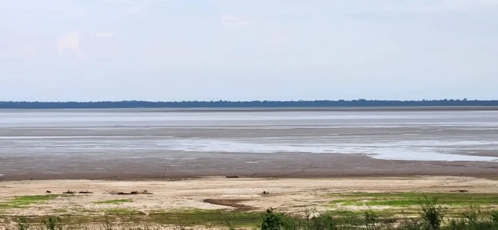 NAVEGAÇÃO EM FOCO – Rio Amazonas começa a secar.